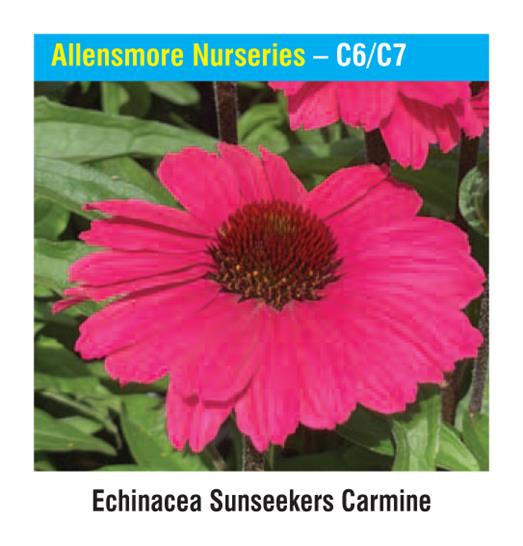 Allensmore Nurseries